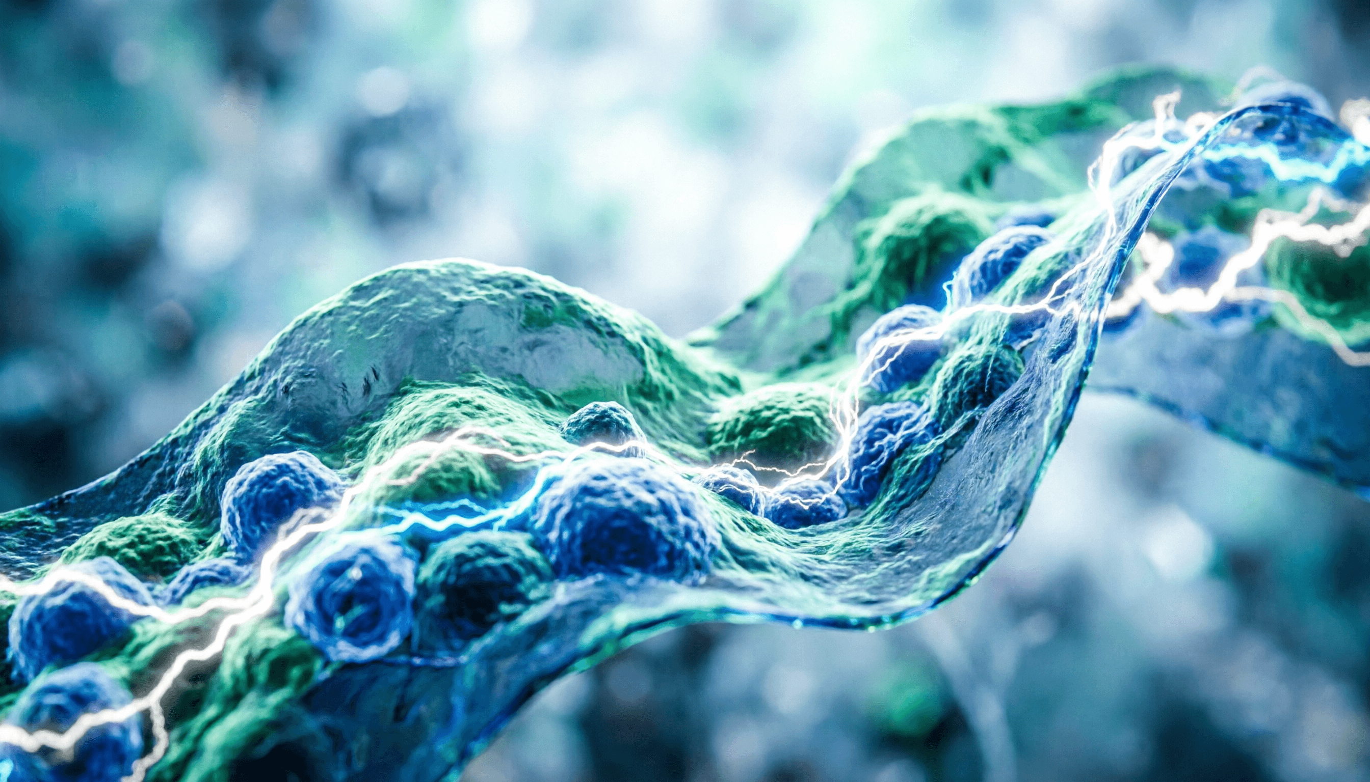 Инфузия Атлет: формулата за сила, издръжливост и бързо възстановяване